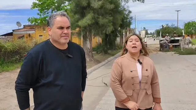 Trabajos preventivos de poda y extracción de árboles en el acceso a la ciudad