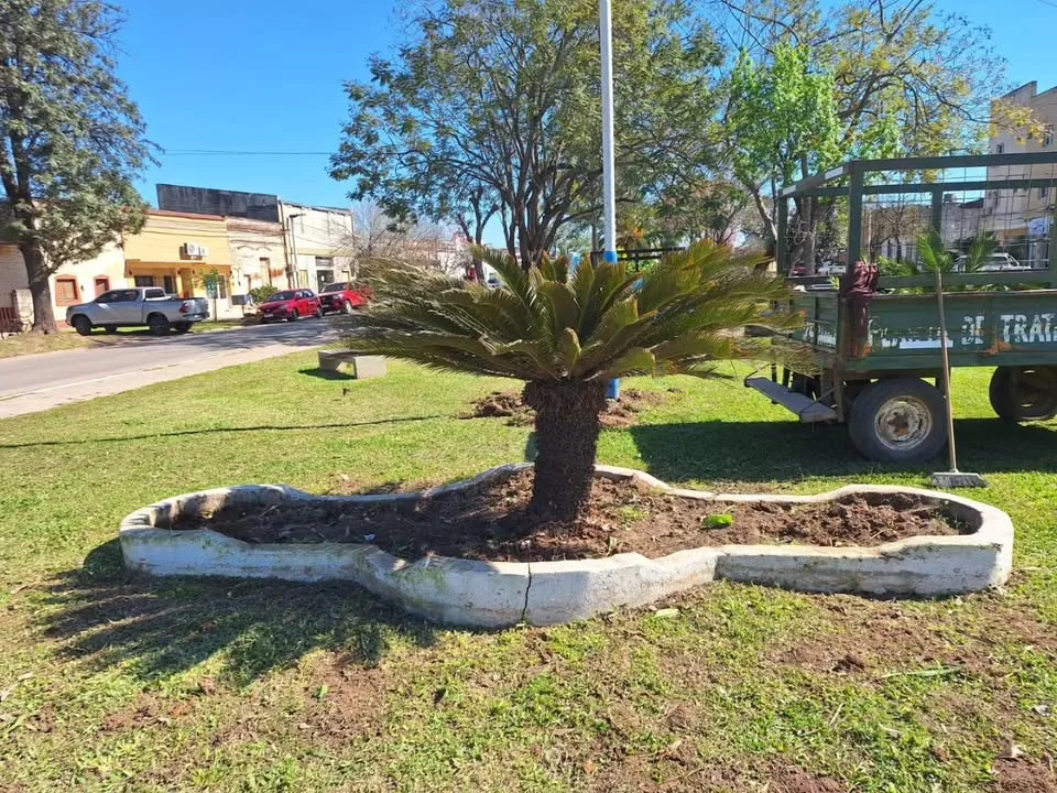 Ambiente: cuidado y mantenimiento de los espacios verdes