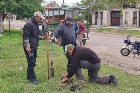 Nueva jornada de plantación y reforestación en la ciudad
