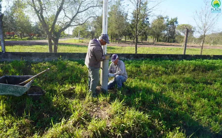 Mantenimiento y protección de las jirafas de iluminación