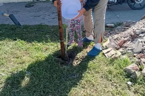 Ambiente | Cuidar lo que se plantó, un compromiso de todos