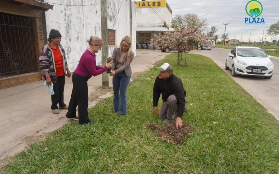 Nueva jornada de plantación y reforestación en la ciudad