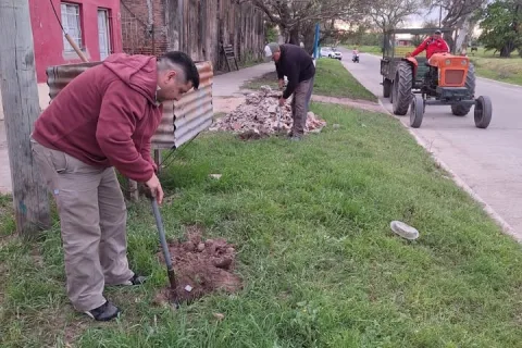 Nueva jornada de plantación y reforestación en la ciudad