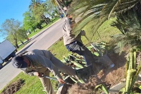 Ambiente: cuidado y mantenimiento de los espacios verdes