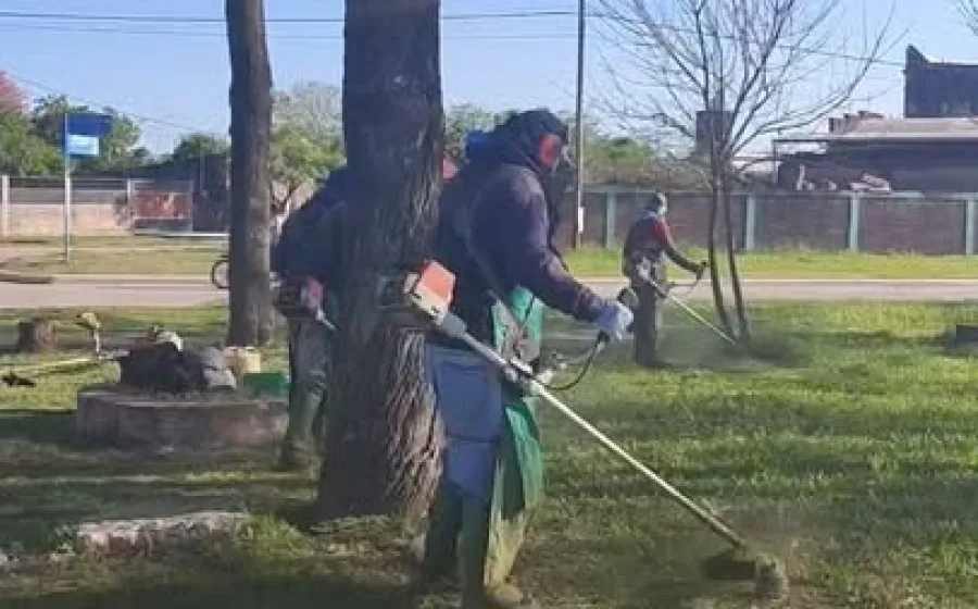 Seguimos a pleno, ejecutando diferentes actividades durante esta semana