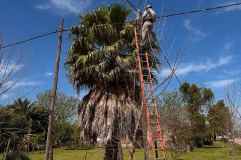 Trabajos de reparación y mejora del alumbrado en distintos puntos de la ciudad
