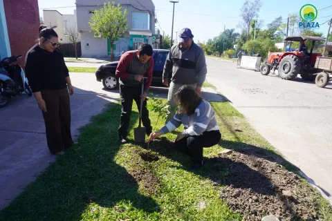 Nueva jornada de plantación y reforestación en la ciudad